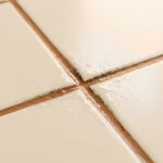 Gros plan sur des carreaux de salle de bain avec des joints sombres, humides et tachés de moisissures.